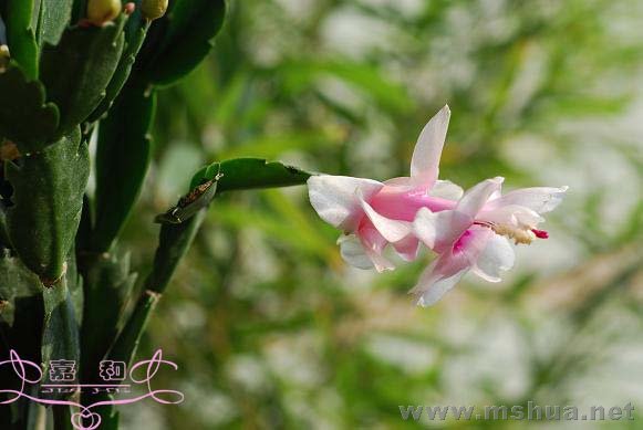 ��з1 ����.jpg