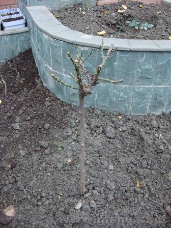 ���Ǵӱ����¼�԰�����Ψһ�ֻ��˵���״�¼�