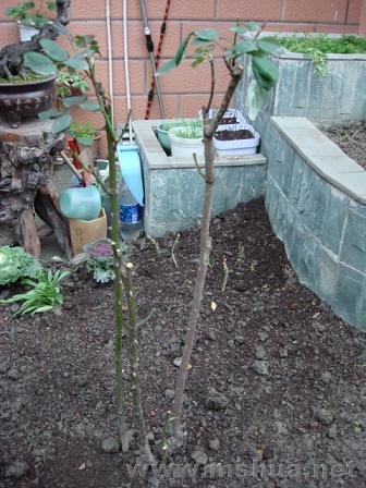 �����������ҵ�����ɯ��