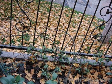 ����һ������ζ�ķ�ɫ�ٱ��¼�����֪��Ʒ������