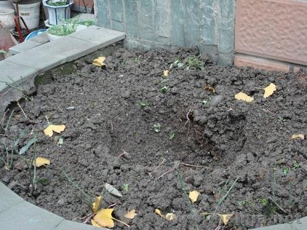 �����̨�����߿����ľ��壬�м��Ǹ������׼����һ�ú�Ʒ�ֵĴ�����