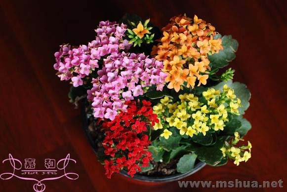 ���� ����.jpg