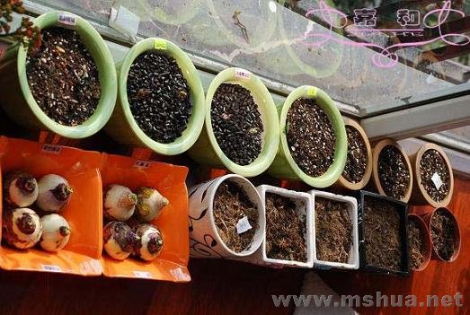 ���Ӱ1 ����.jpg