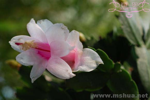 ��з3 ����.jpg