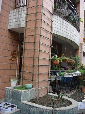 ����ﵹ�˰�Ͱ����������࣬������׼����