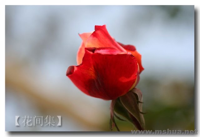 IMG_8922 ����.jpg