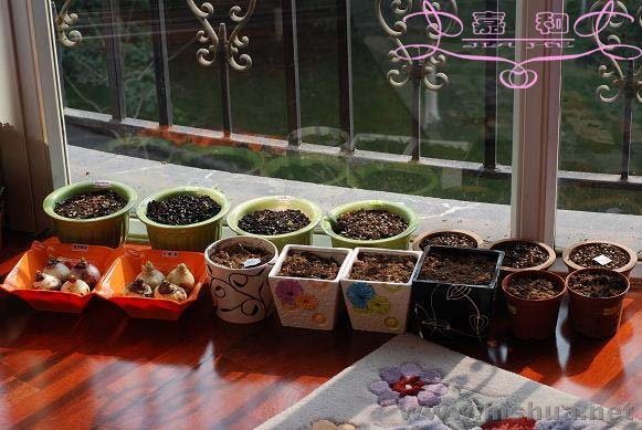 ���Ӱ2 ����.jpg