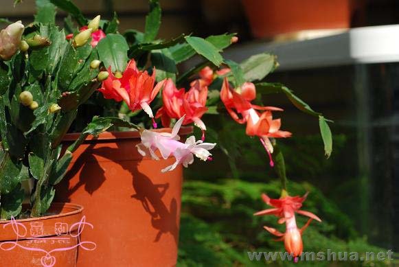 ��ۼ���1 ����.jpg