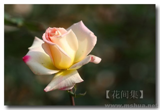 IMG_8923 ����.jpg