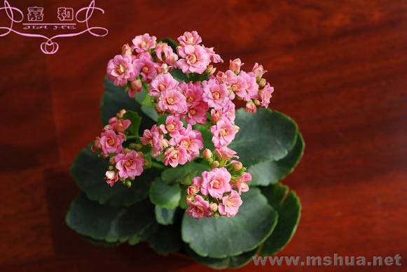 ������1 ����.jpg