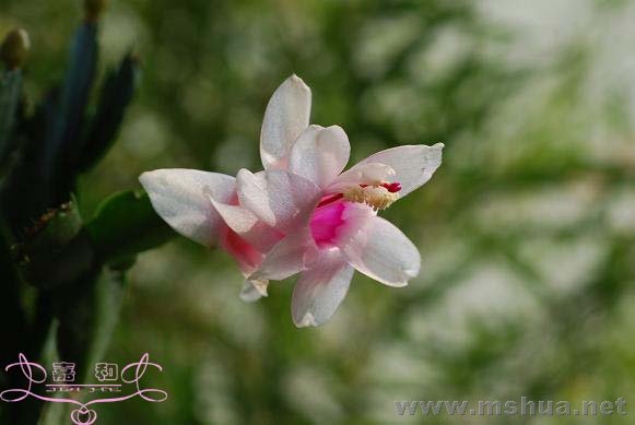 ��з2 ����.jpg