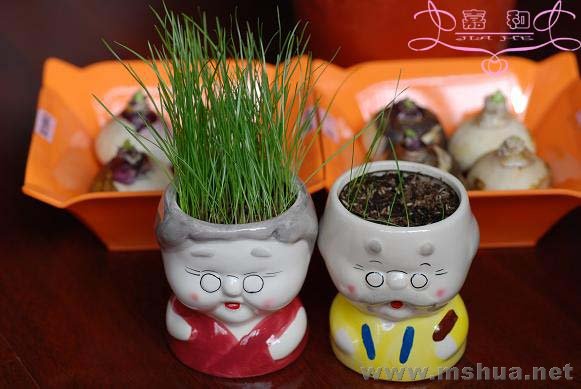 ���Ų� ����.jpg