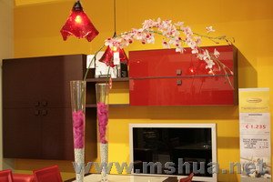 ɫ������