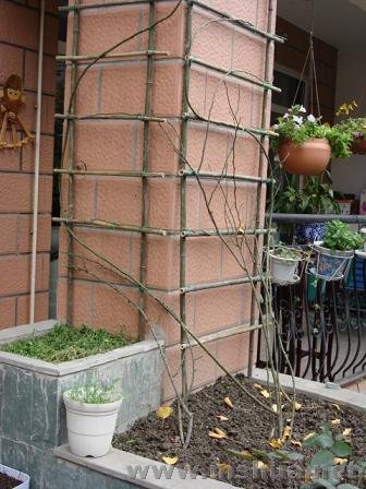 Ϊ�˹������������޼�