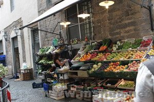 Ѥ��ɫ�ʵ�ˮ��̯