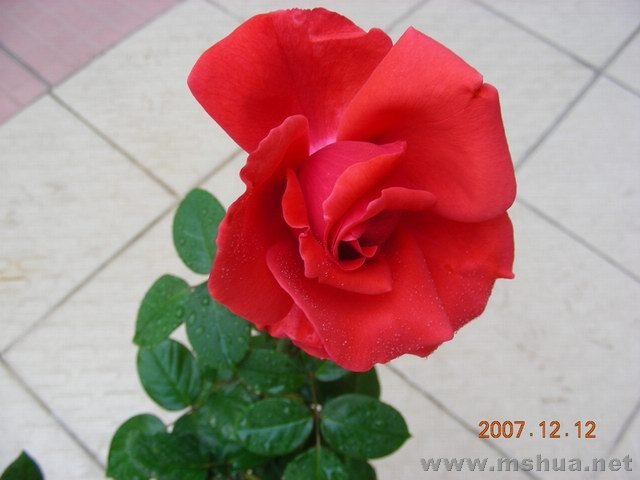 ���-2.jpg