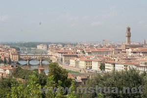 �ų��밢ŵ��