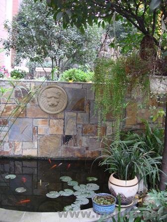 ������Χ���в�����ɫֲ��