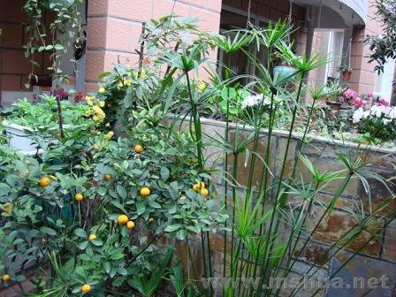 �������һ���仹�Ե���������