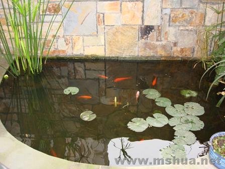 �����ˮ���Ե�����