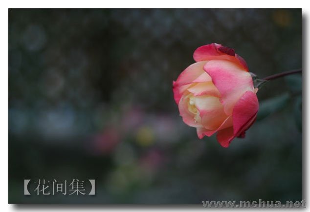 IMG_8979 ����.jpg