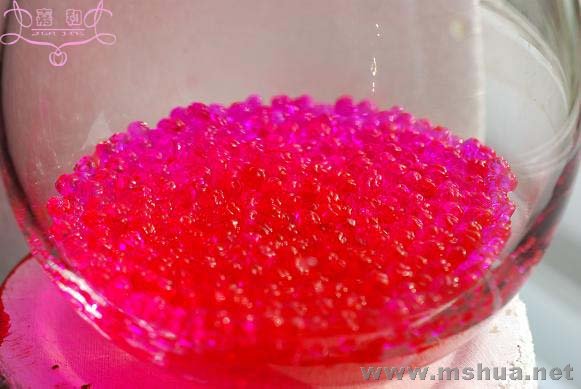 DSC_0206 ����.jpg