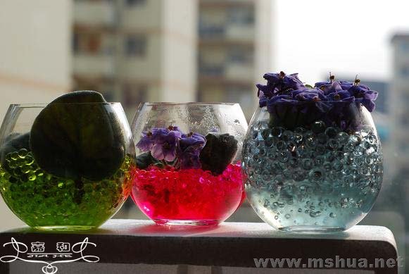 DSC_0227 ����.jpg