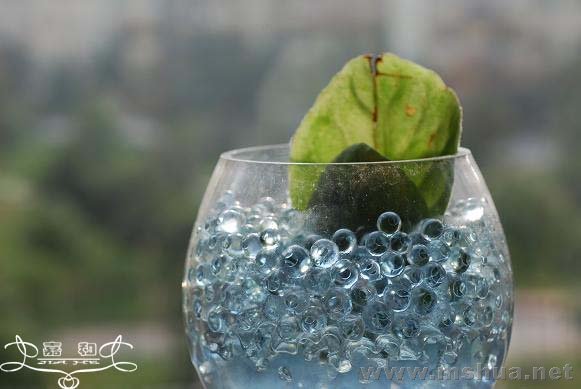 DSC_0200 ����.jpg