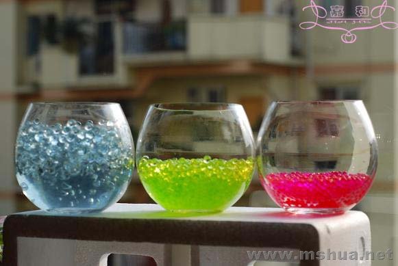 DSC_0210 ����.jpg