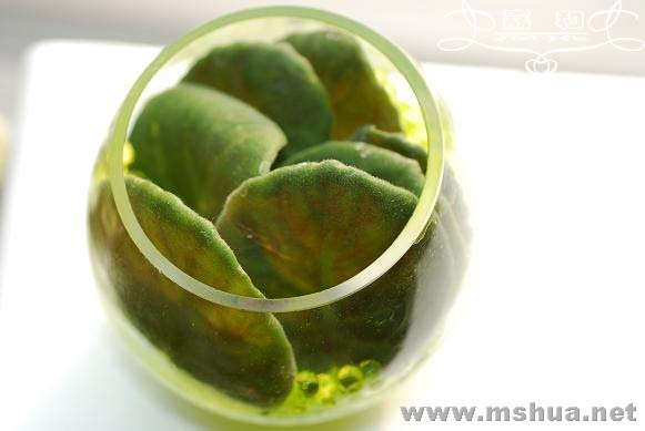 DSC_0226 ����.jpg