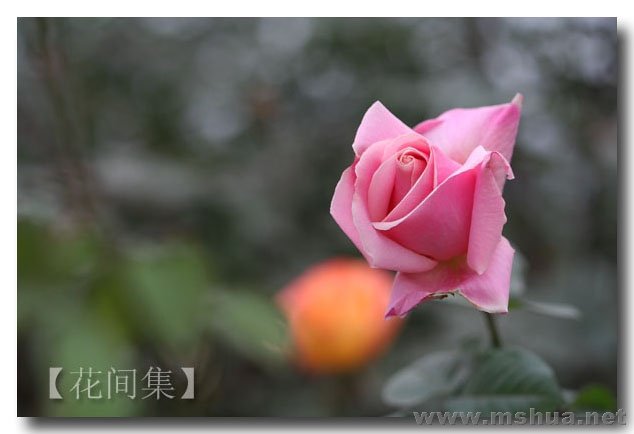 IMG_9261 ����.jpg