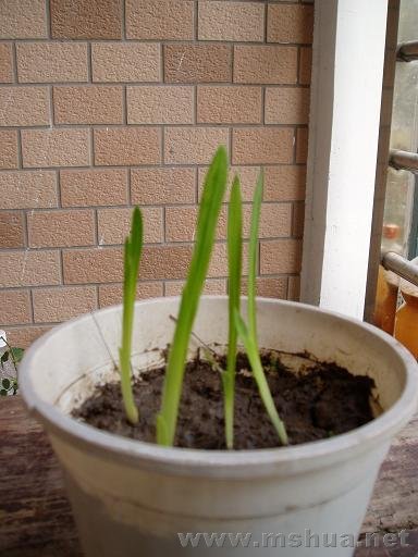 �µ�һ��Ҳ������ ����