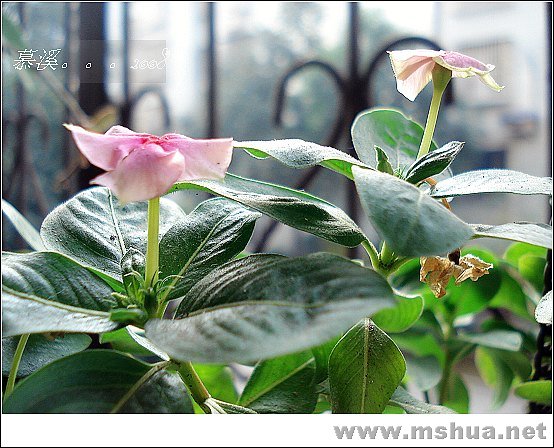 С����һ��ϲ��