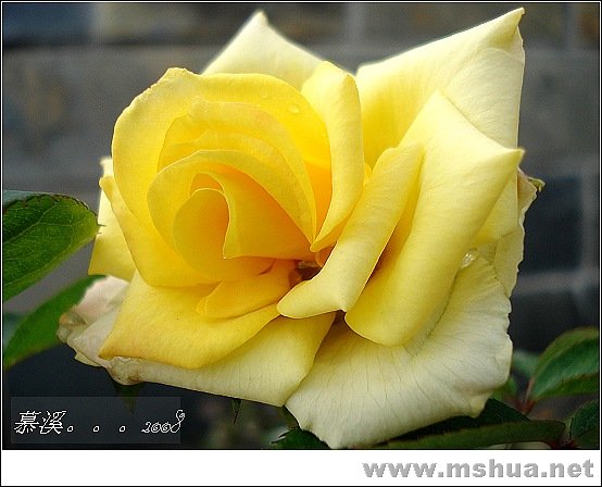 �����ڻ��ǲ�֪��ʲô����