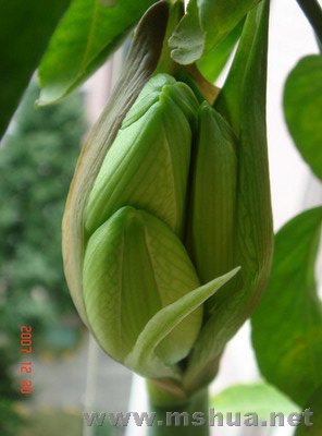 DSC09967_��С��С_��С��С.JPG