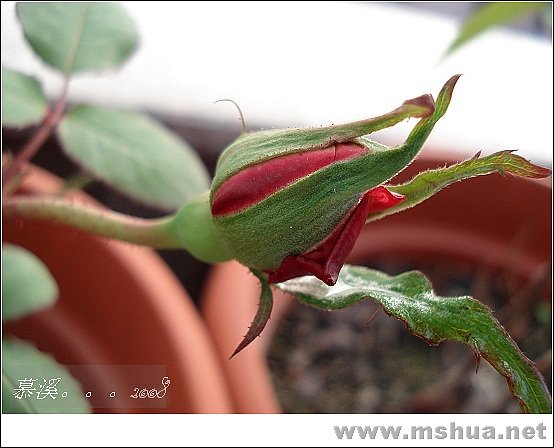 �ۺ�ƽ��һ�����ĸ�����