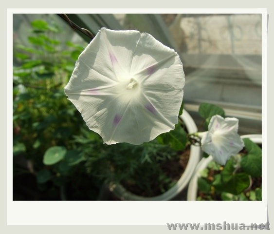 ������С DSCF0006.jpg