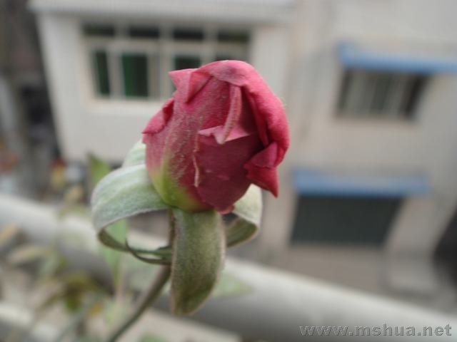 DSC03415.JPG