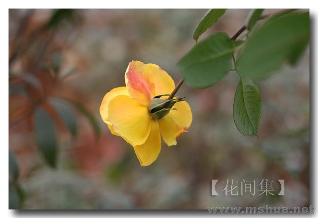 IMG_0108 ����.jpg