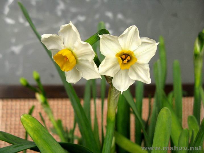 ������С �����ع� ��Ƭ 161.jpg