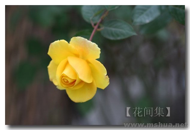 IMG_0006 ����.jpg