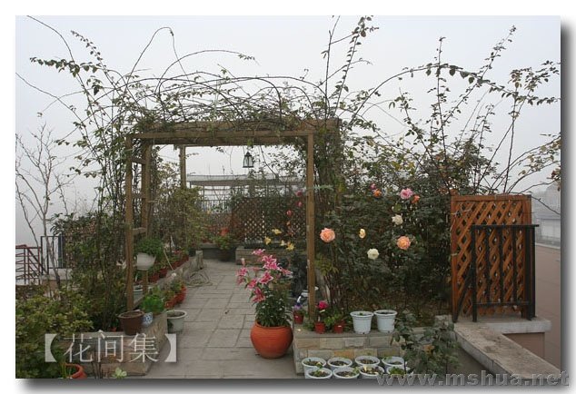 IMG_0029 ����.jpg