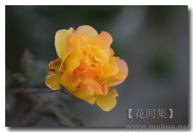 IMG_0013 ����.jpg