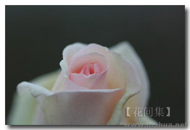 IMG_0009 ����.jpg