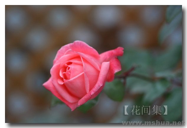 IMG_0007 ����.jpg