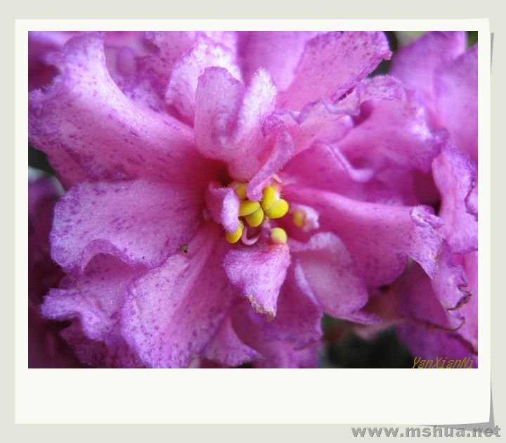 �ܻ� 005.jpg