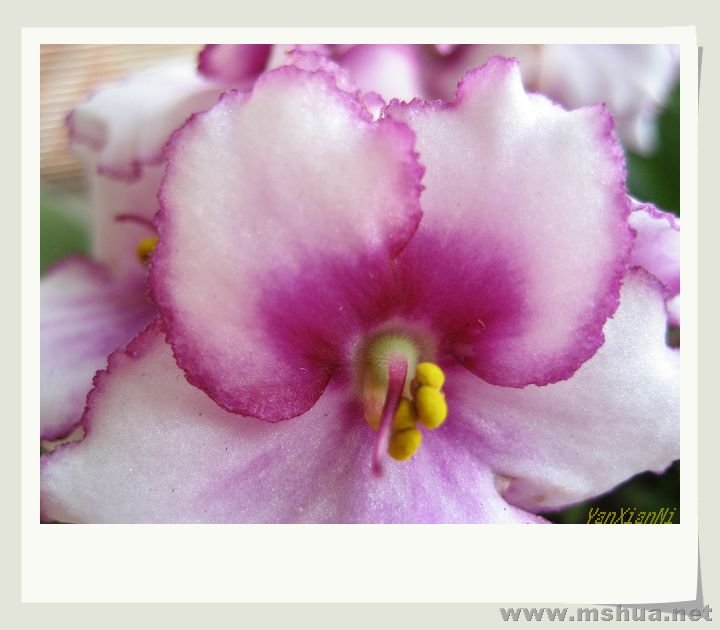 �ܻ� 004.jpg