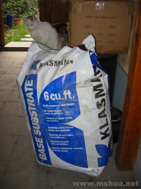 �����þ޴�2�������ݵĴ�˵�еĵ¹���̿