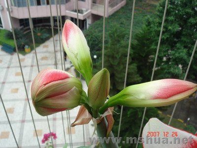 �ҵĻ���ȸ������ҲҪ������