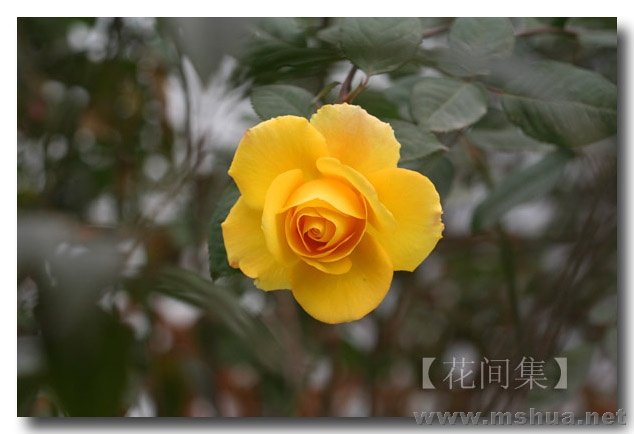 IMG_0102 ����.jpg